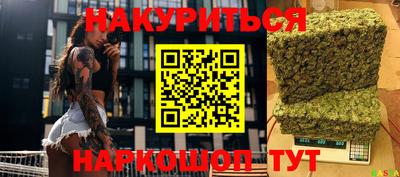 ALPHA PVP Гай