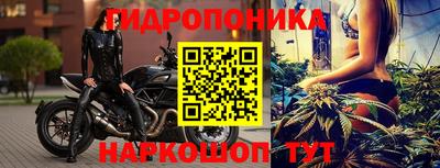 ALPHA PVP Гай