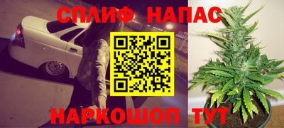 ALPHA PVP Гай