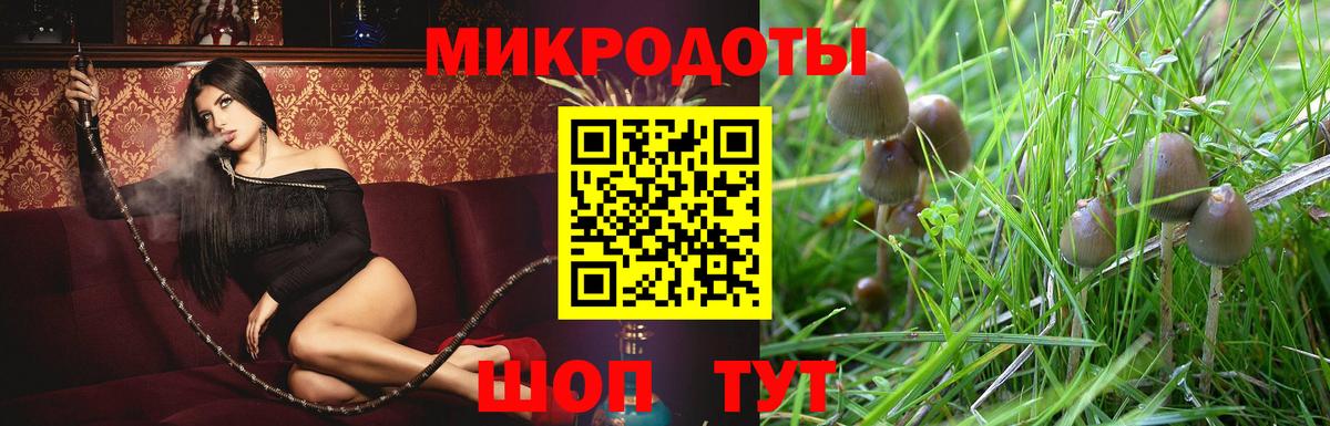 Псилоцибиновые грибы Cubensis Трёхгорный